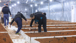 乡村振兴 | 江华涛圩邓家寨村：抱团发展食用菌 助力乡村振兴