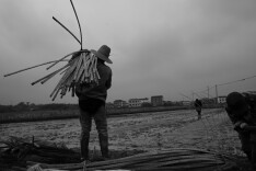 稻田守望者：播种希望