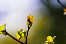 换个方式，“拥抱”春天