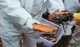 最新：事故现场核心区搜寻到橙色碎片