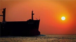 爱是江月的常主——读李文金的《渌江逐梦》