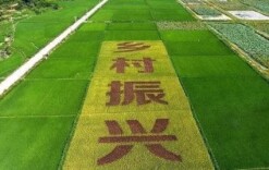 激活“人、地、钱”资源要素，加快乡村产业振兴