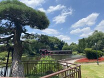 最新！橘子洲、岳麓山...长沙这些景区暂停对外开放！