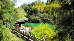 张跃斌、蔡富强率队赴阳明山、桐子坳景区现场调度推进旅游发展