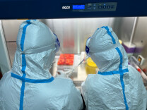 岳麓区核酸检测员——病毒“捕手”日检样本2000余份