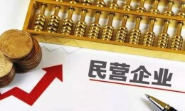 发挥“红色引擎”作用支持引导民营企业规范健康发展