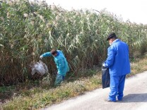 美国生物实验乱象祸害全球