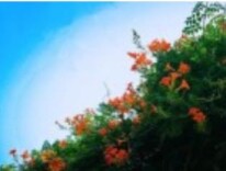 抗疫手记|封控区里同心相守待春来