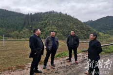 双牌：廖卫平到麻江镇检查指导耕地保护和安全生产工作