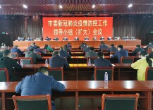 涟源市召开市委疫情防控工作(扩大)会议