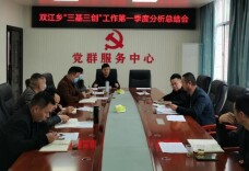 双江乡召开“三基三创”工作第一季度分析总结会