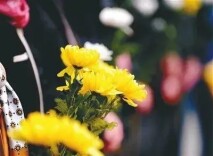 为什么要过清明节，这是我听过最好的回答