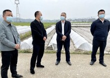 刘杰到乡镇调研当前重点工作