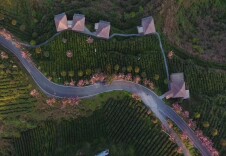 “云”游潇湘￨第四站 春之好味在茶山（下）