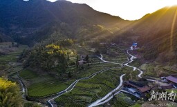 杜家坪乡：青绿淬墨 山乡如画