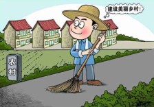 刘杰到金石镇调研当前重点工作