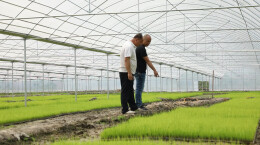 任翠府：扎根农业的产业发展带头人