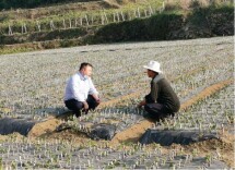 永顺农商银行多措并举助力春耕备耕