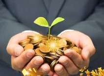 枙子花开——引金融活水 助乡村振兴