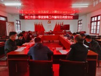 洪江市召开第一季度禁毒工作督导及调度会