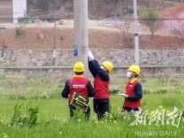 国网韶山市供电公司:服务农户养殖产业  助力乡村振兴