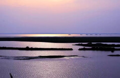 散文丨谭仲池：葱绿岸滩的清亮哨声