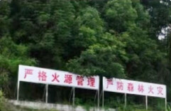 湖南发布第一号总林长令 进一步加强全省森林草原防灭火