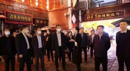 省政协副主席张大方带队来岳开展课题调研 黎作凤等参加