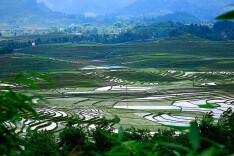 涟源：23个临时“生产队”助力春耕生产