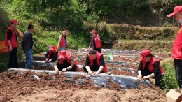 全域文明创建在行动丨泸溪县总工会：开展“党旗领航助农春耕”主题党日活动