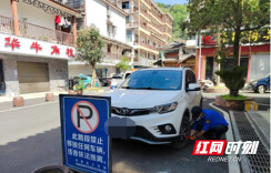 喜迎二十大·全域文明创建在行动丨凤凰：扎实开展人居环境整治 助推文明城市创建