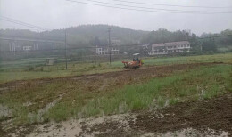 甘棠镇强力推进耕地抛荒整治工作