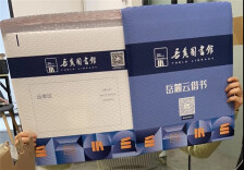 党建+公共文化服务进楼宇！岳麓云分馆首发上线