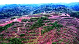 泸溪县发改局：党建引领乡村振兴