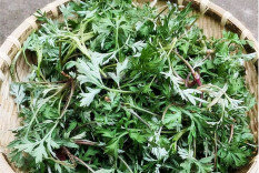 《最美家乡美食推荐官》征文⑫‖一口蒿子粑粑，一口春天的味道