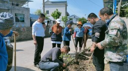 喜迎二十大·全域文明创建在行动丨凤凰县腊尔山镇：植树添绿改善人居环境 绿色生态助力文明创建