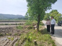 双牌：胡华清深入江村镇督导粮食生产和耕地抛荒整治工作