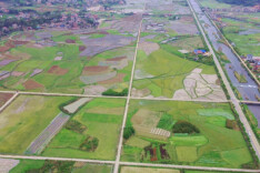 双牌：绿色防控有妙招 田间“诱捕器”围歼二化螟