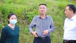 黄力调研既有房屋安全隐患排查整治工作