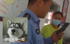 假警察来电诈骗遇上真警察