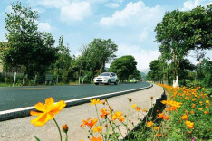 杏子铺镇：打好绿色牌，建设美丽乡村