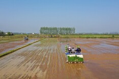 大道向前·湘村新时代｜岳阳金兴村：谁知盘中餐，粒粒皆“智慧”