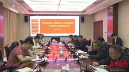 湖南省茶常高速建设开发有限公司来我县会商调研项目建设