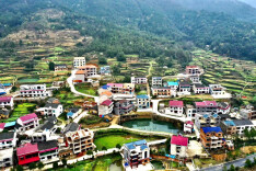 新庄村：党建引领致富，屋场推动发展