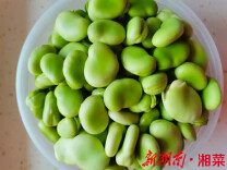 楚国良专栏｜立夏尝鲜话蚕豆