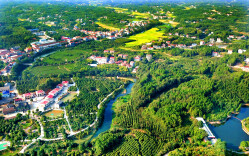 西塘镇：倾力打造森林乡村宜居环境