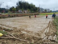 “我有底气和信心把这些田都种好”——记韶山乡大坪村种粮大户王平