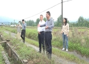 黄力到龙海镇调研指导防汛备汛、早稻生产等工作