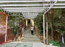 竹园深处有芳踪——岳阳经开区木里港社区助力乡村振兴现场见闻