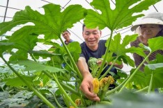 理论智库丨推进数字赋能 强化共青团思想政治引领作用